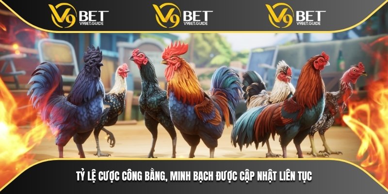 Trang Đá Gà Uy Tín V9bet – Nơi Cá Cược An Toàn Và Minh Bạch 6 Tỷ lệ cược công bằng, minh bạch được cập nhật liên tục